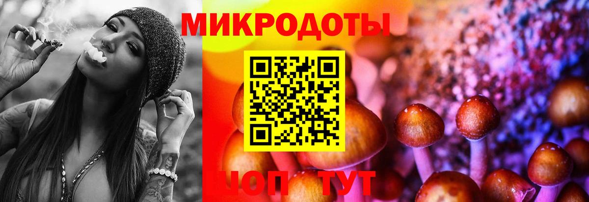 Псилоцибиновые грибы мицелий Минусинск