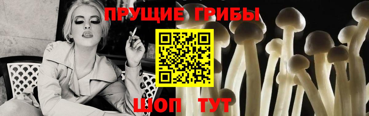 Галлюциногенные грибы MAGIC MUSHROOMS  Вход с VPN  Минусинск 